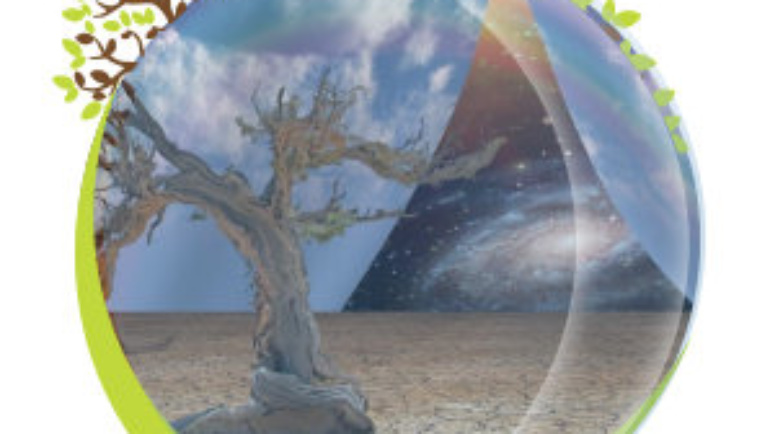 Stages et formations